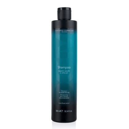 Възстановяващ шампоан за изтощена коса Diapason Cosmetics Dry & Brittle Hair Shampoo