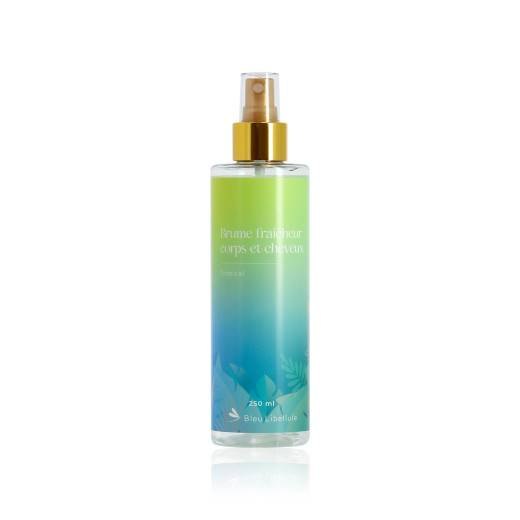 Coiffeo Brume 250 ml
