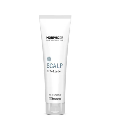 Framesi Morphosis Purifying Shampoo 250ml