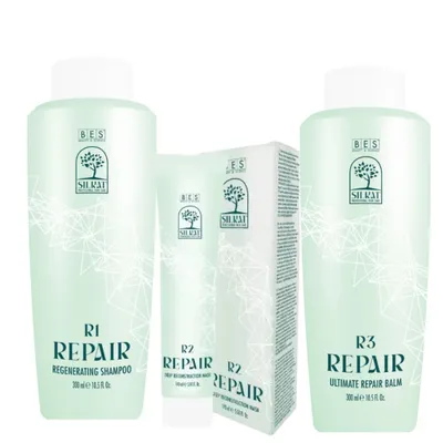 BES Silkat Repair Deep Reconstruction Protocol