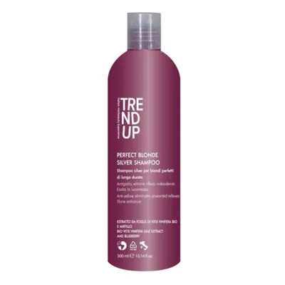 Trend Up Perfect Blonde Shampoo 300 ml