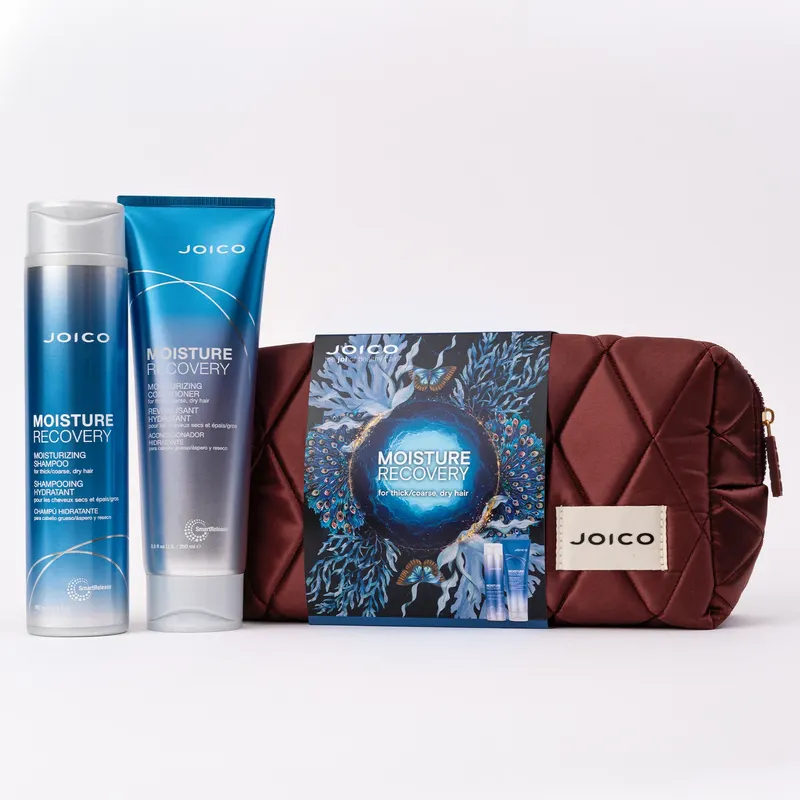 JOICO Moisture Recovery Duo Set +