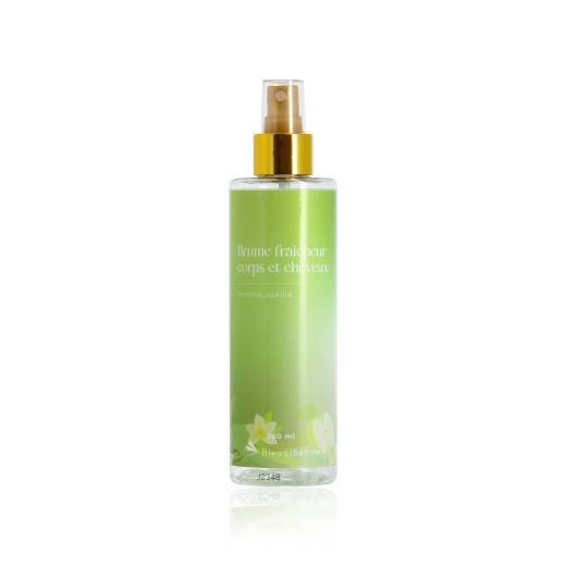 Coiffeo Brume 250 ml