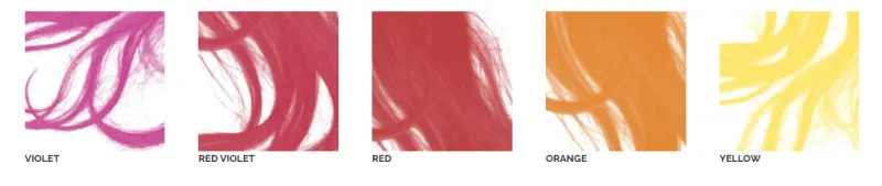 BES Intensive Hair Color 60ml — 2