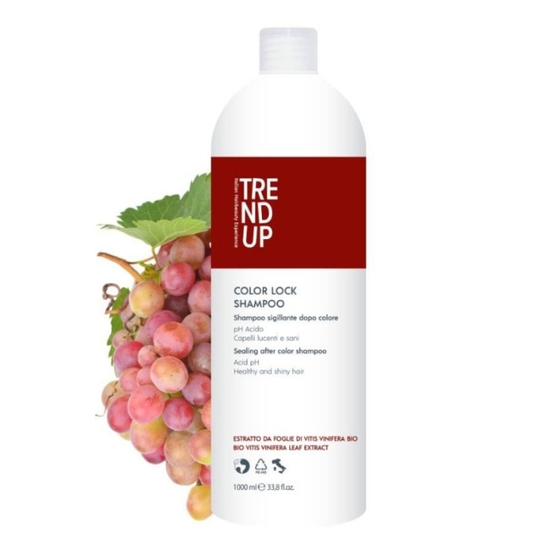 Edelstein Professional Trend Up Color Lock Shampoo 1000ml