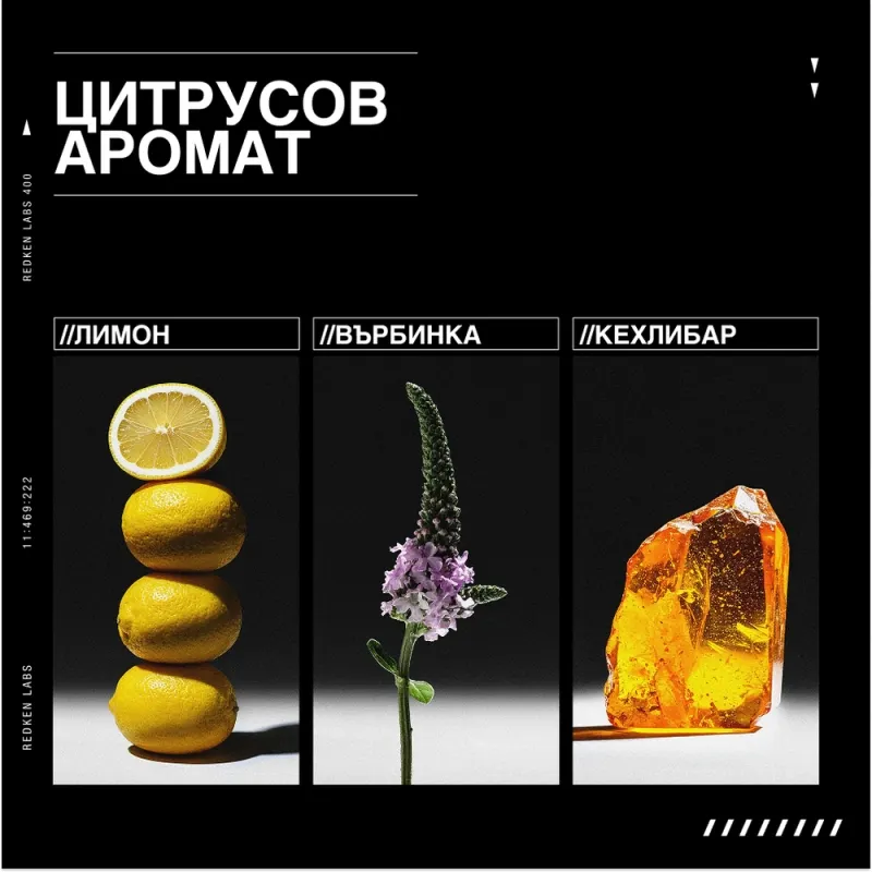 Спрей за плътност, обем в корените и термозащита до 230°C Redken Acidic Grow Full System Hair Spray 190 ml — снимка 4