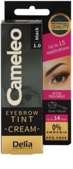 Боя за Вежди Delia Cameleo Eyebrow Tint Cream 15ml 1.0 Black