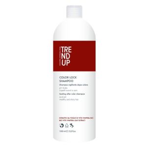 Шампоан за боядисана коса Edelstein Professional Trend Up Color Lock Shampoo 1000ml
