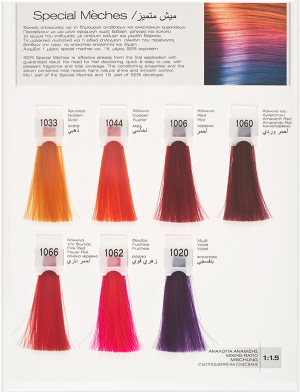 Seri Premium Special Meches Hair Color 60ml 